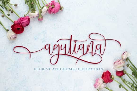 Signalove Calligraphy Font Image 2