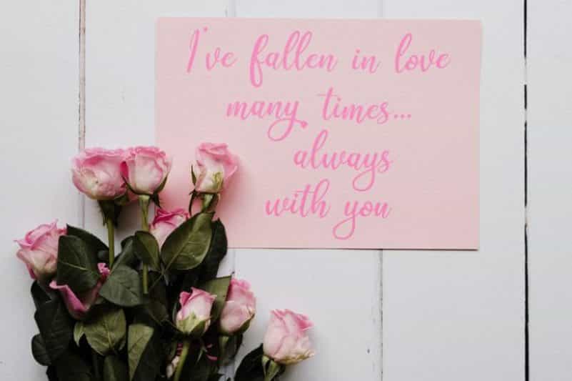 Quindelia Calligraphy Font Image 3
