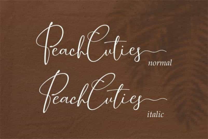 Peach Cuties Signature Font Image 2