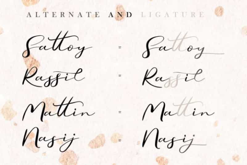 Secret Feeling Calligraphy Font Image 2