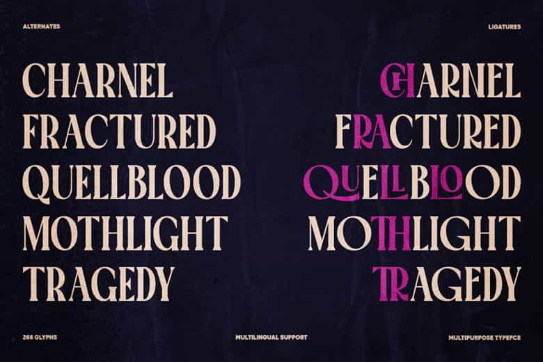 TT Montero Font Image 5