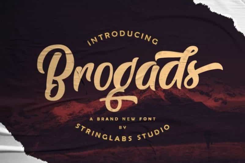 Brogads Script Font Image 1