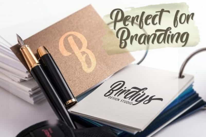 Brogads Script Font Image 2