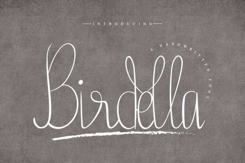 Birdella Calligraphy Font Image 1