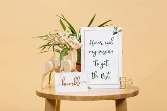 Mostly Bonny Script Font Image 3