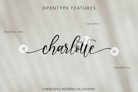 Lisalovely Calligraphy Font Image 2