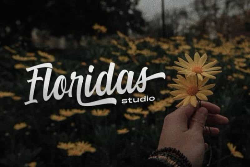 Summer Fruits Script Font Image 2