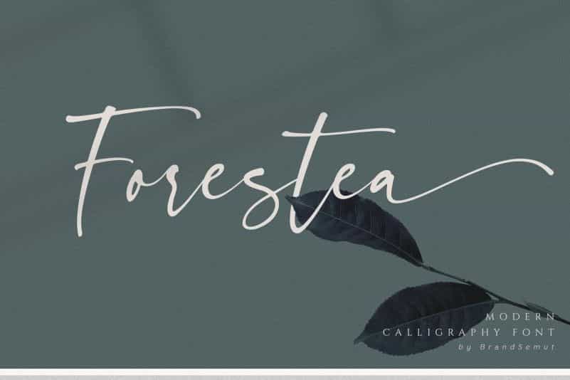 Forestea Modern Calligraphy Font Image 1