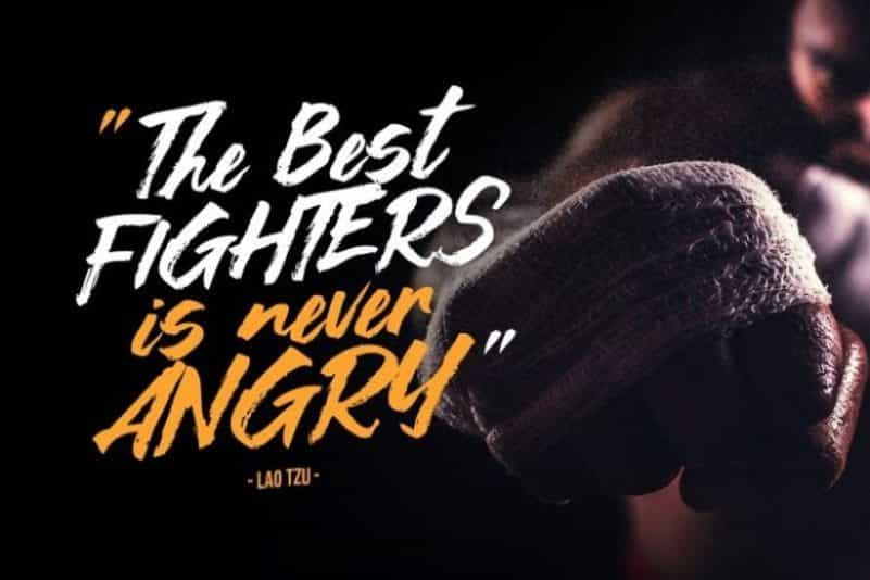 Asia Tiger Brush Font Image 3