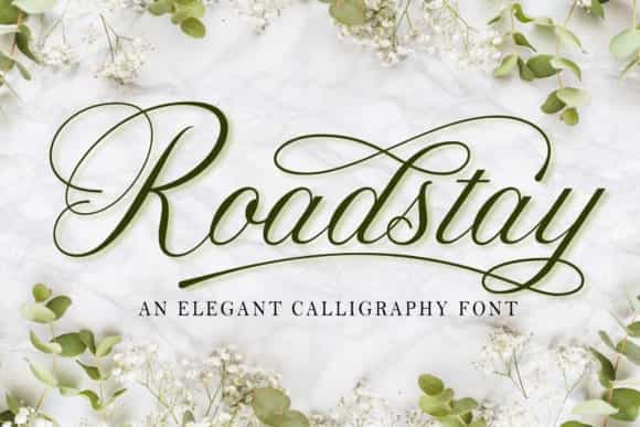 Roadstay Calligraphy Font Image 1