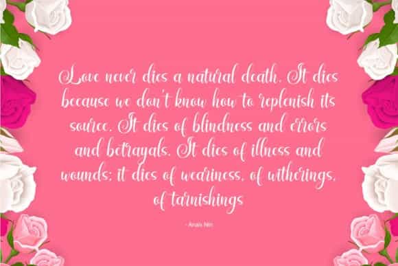 Enjelina Calligraphy Font Image 3