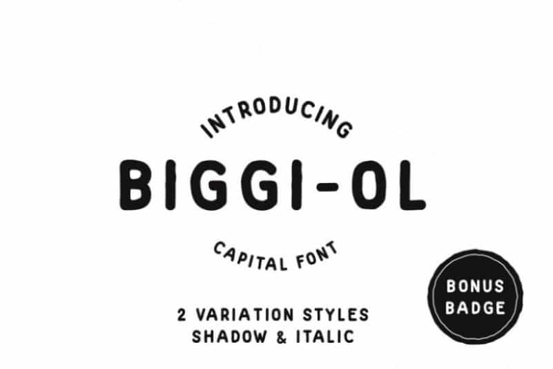 Biggi Ol Display Font Image 1