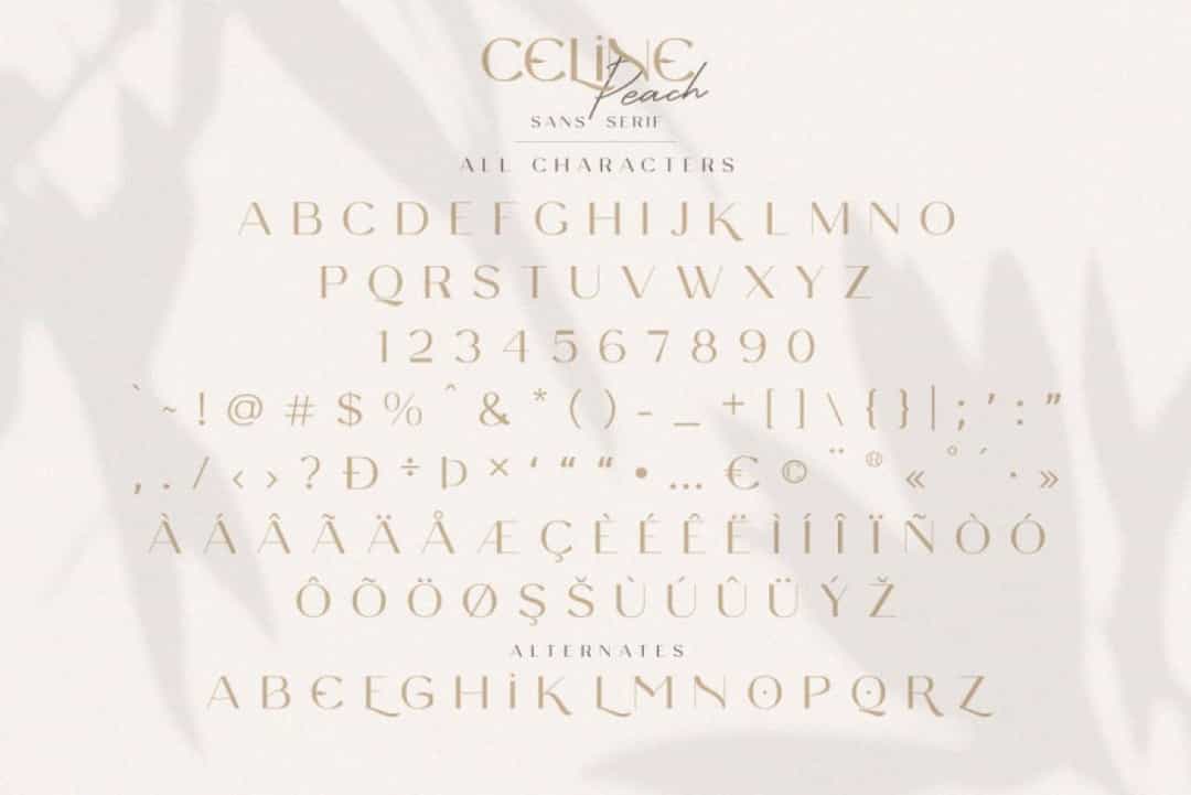 Celine Peach Font Image 2