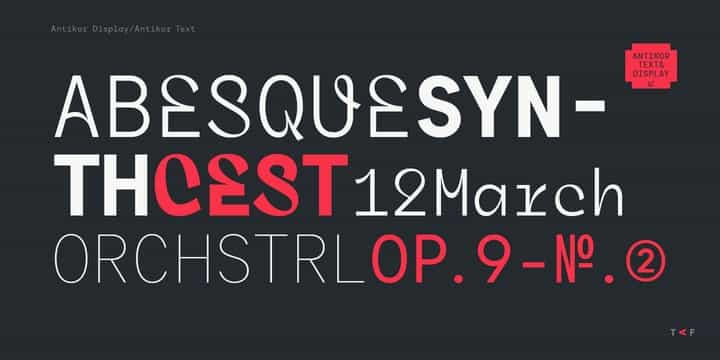 Antikor Sans Font Family Image 2