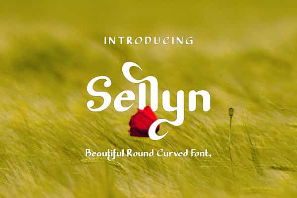 Sellyn Sans Font Image 1