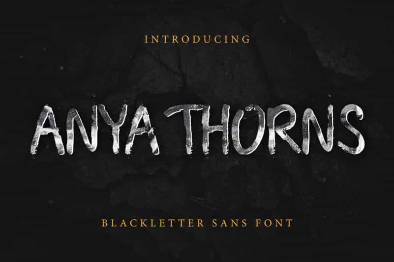 Anya Thorns Grunge Font Image 1