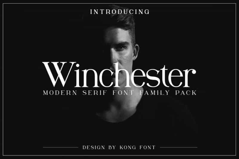 Winchester Serif Font Image 1