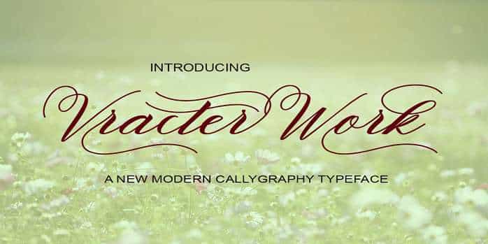 Vracter Work Font Image 1