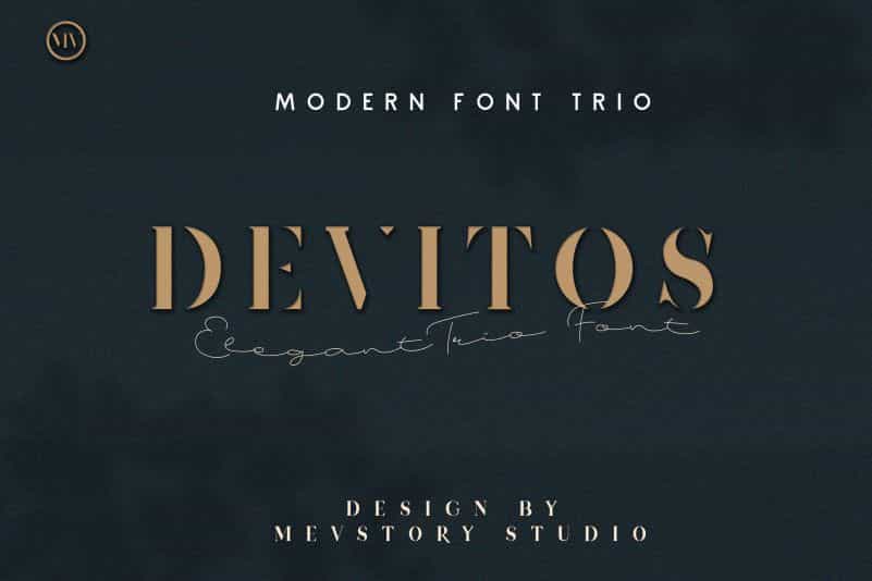 Devitos Modern Elegant Serif Font Image 1