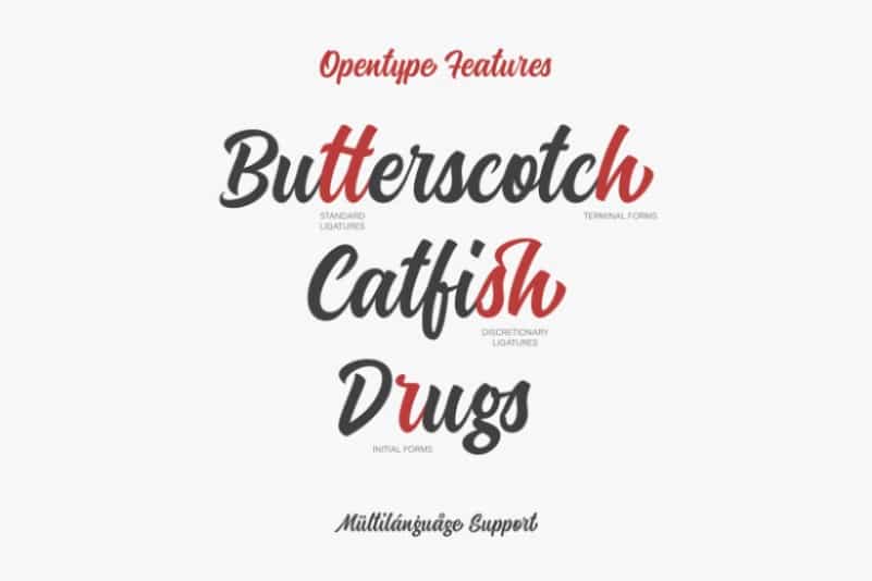 Hershell Script Font Image 2