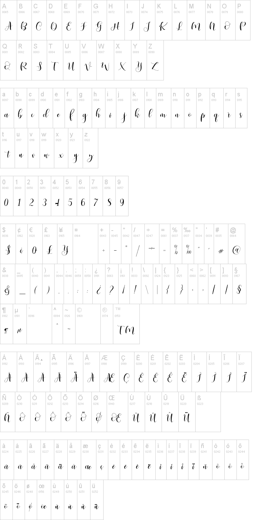 Ladies Script Font Image 2