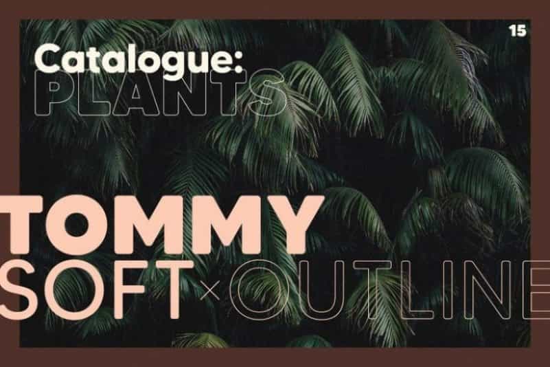 MADE Tommy Soft Font Family Image 3