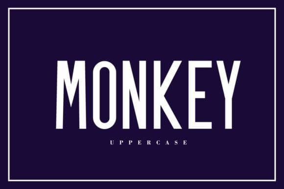 Monkey Sans Serif Font