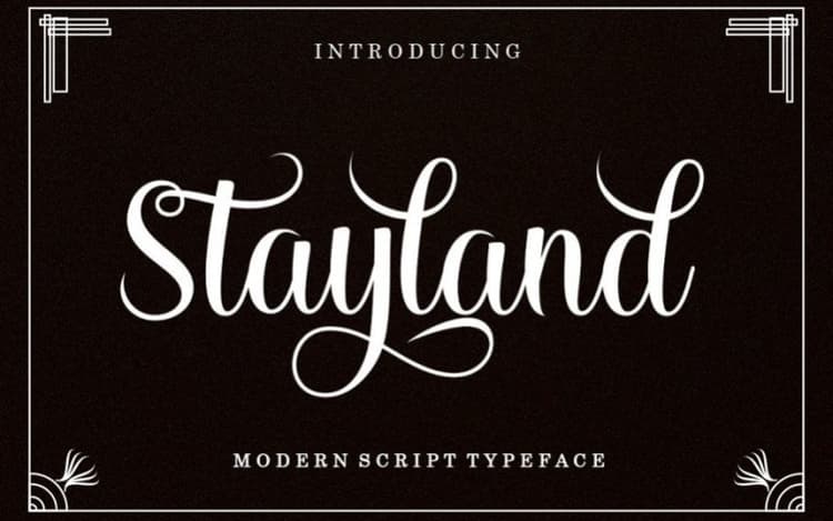 Stayland Calligraphy Font