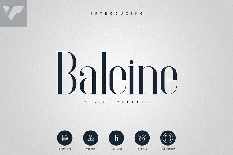 Baleine Serif Typeface