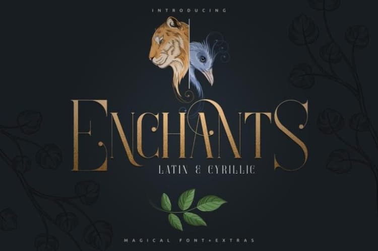 Enchants Magical Serif Font