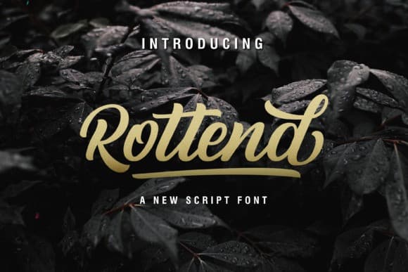 Rottend Script Font