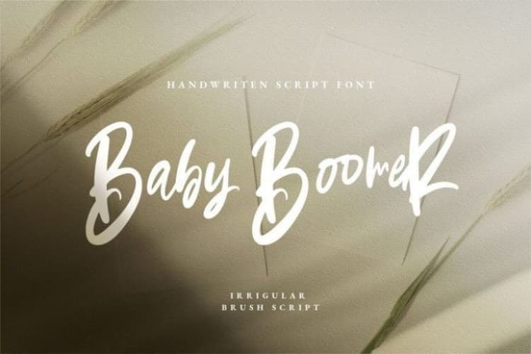 Baby Boomer Brush Script Font