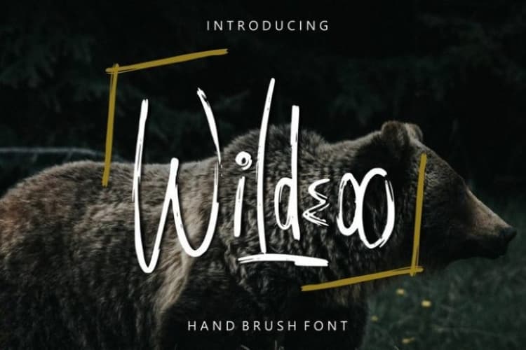Wildeoo Hand Brush Font