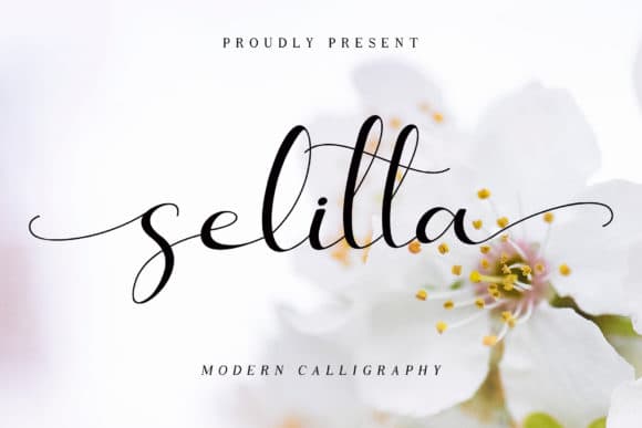 Selitta Modern Calligraphy Font