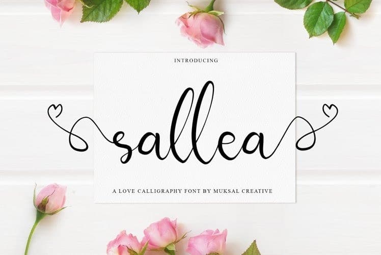 Sellea Modern Calligraphy Font