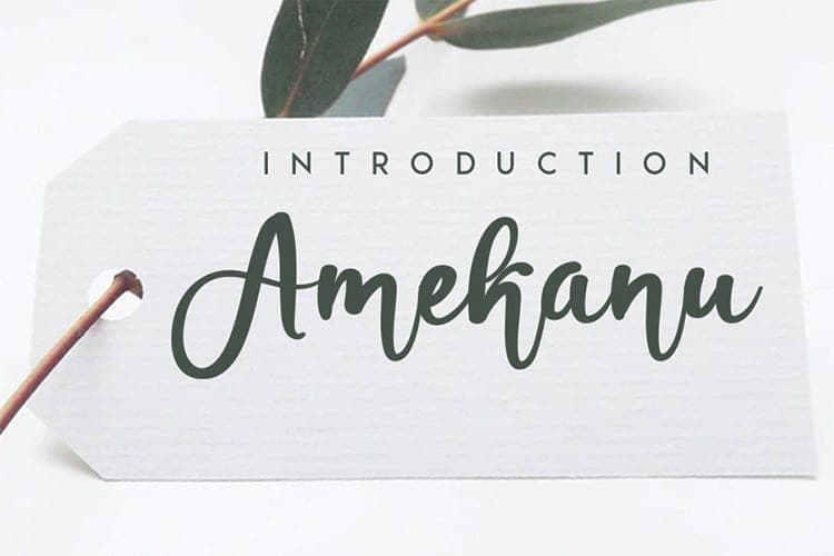 Amekanu Handwritten Script Font
