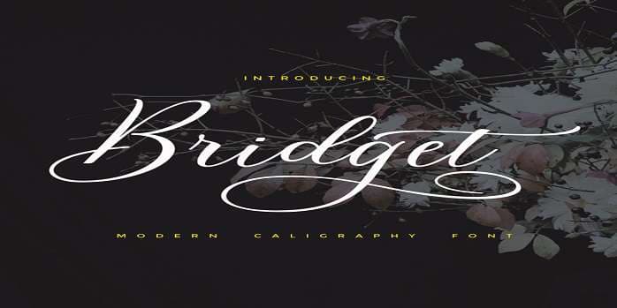 Bridget Script Font