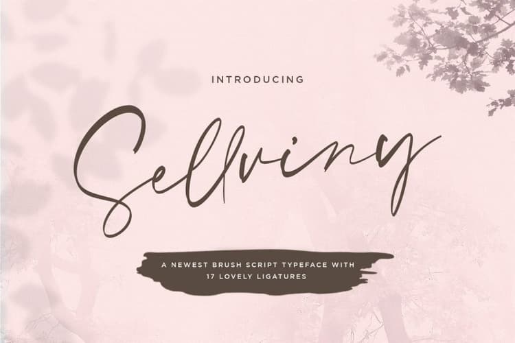 Sellviny Handwritten Brush Font