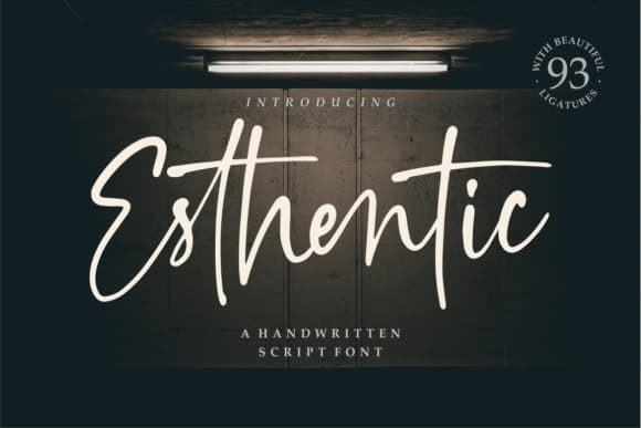 Esthentic Handwritten Script Font