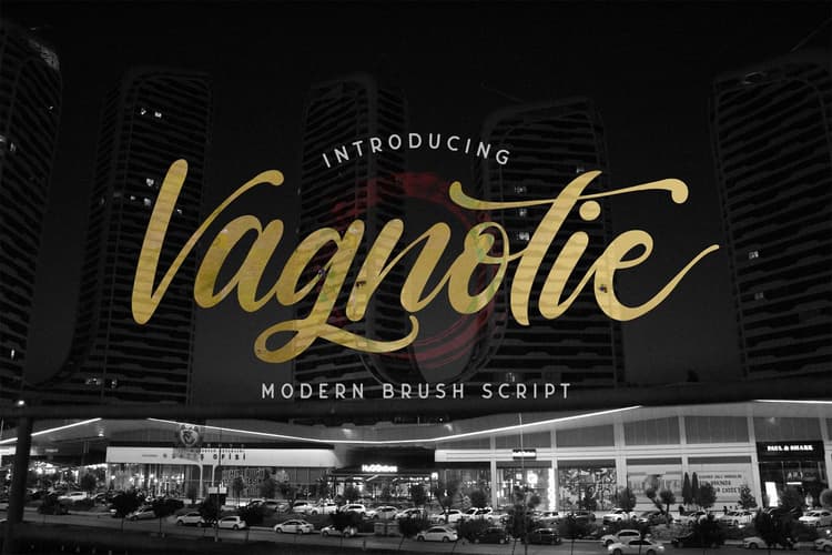 Vagnotie Modern Script Font