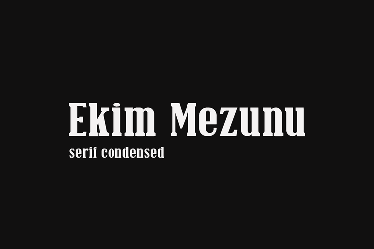 Ekim Mezunu Serif Font