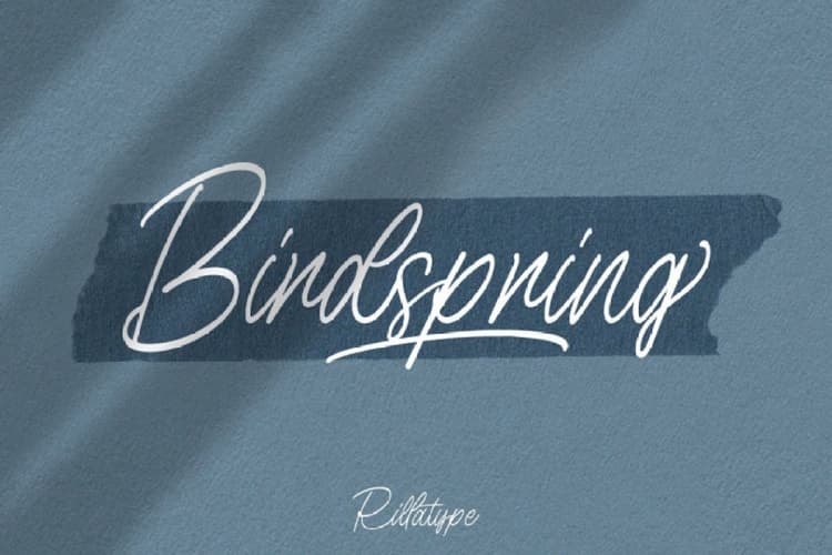 Birdspring Handwritten Signature Font
