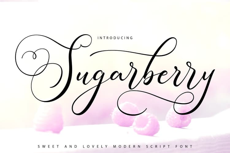 Sugarberry Calligraphy Script Font