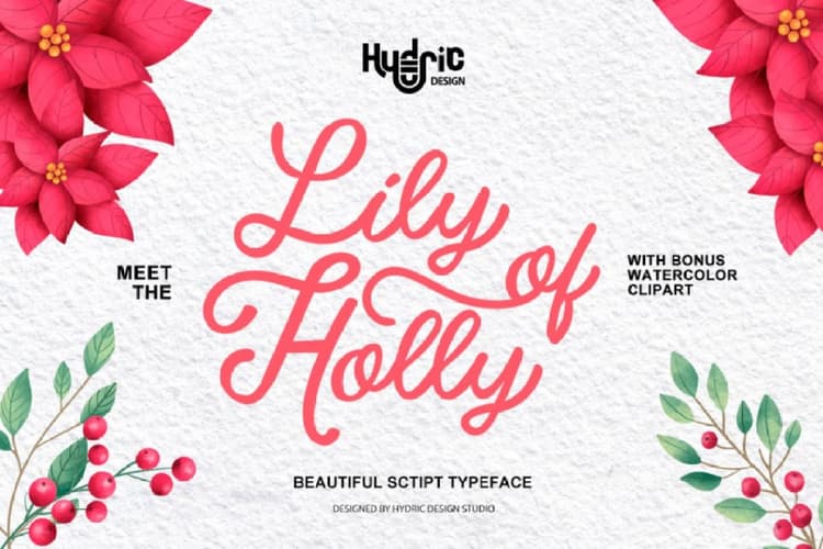 Lily Of Holly Typeface