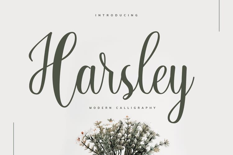 Harsley Font