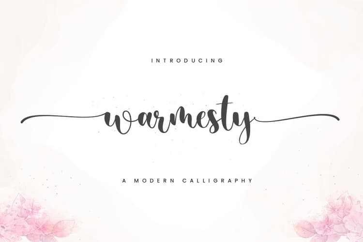 Warmesty Modern Calligraphy Font