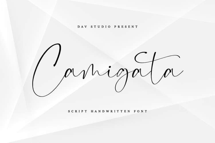 Camigata Handwritten Signature Font