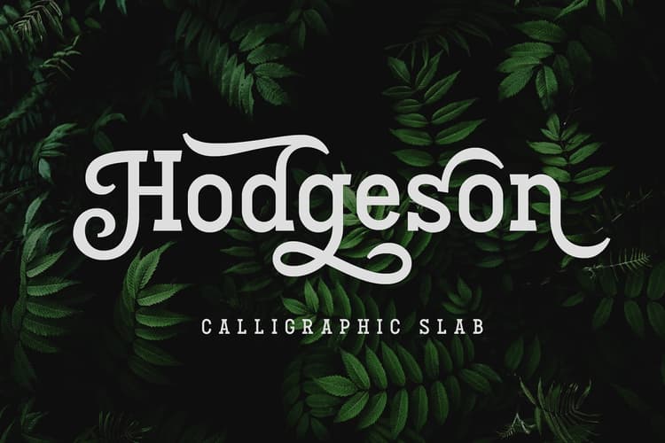 Hodgeson Calligraphy Slab Serif Font
