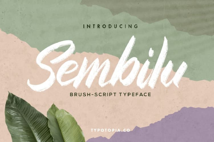 Sembilu Brush Script Typeface