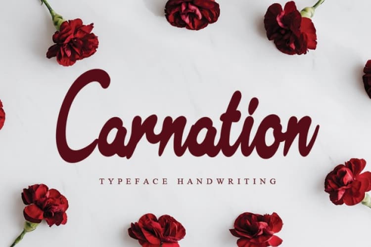 Carnation Typeface
